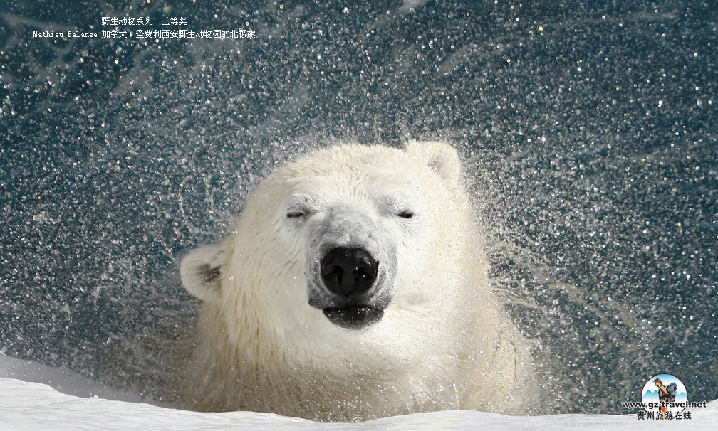 ʹ#8226йԭ̬Ӱ ҰϵСȽ