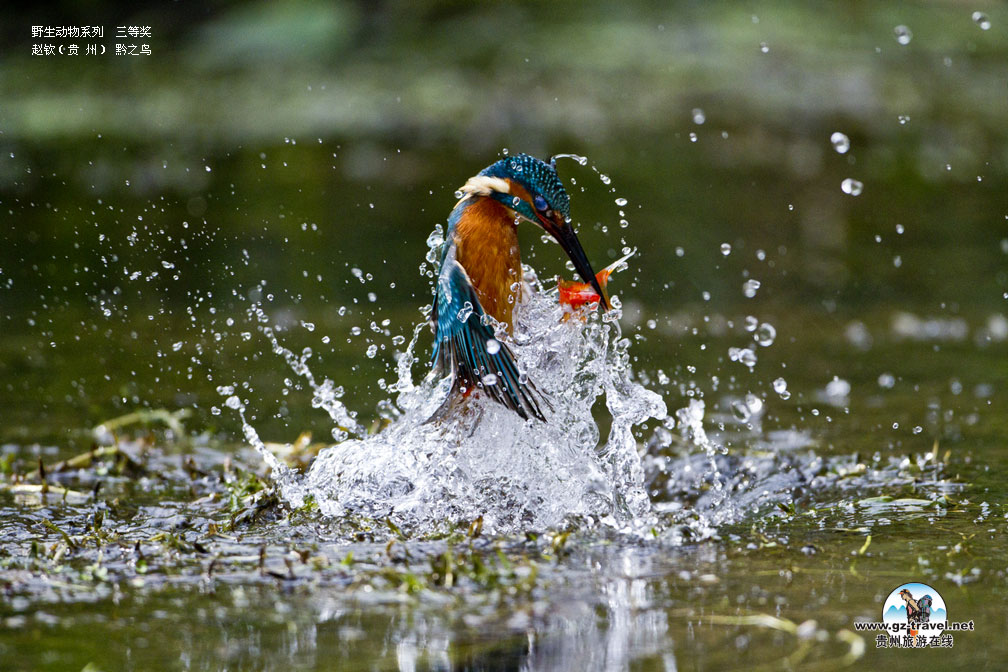 ʹ#8226йԭ̬Ӱ ҰϵСȽ