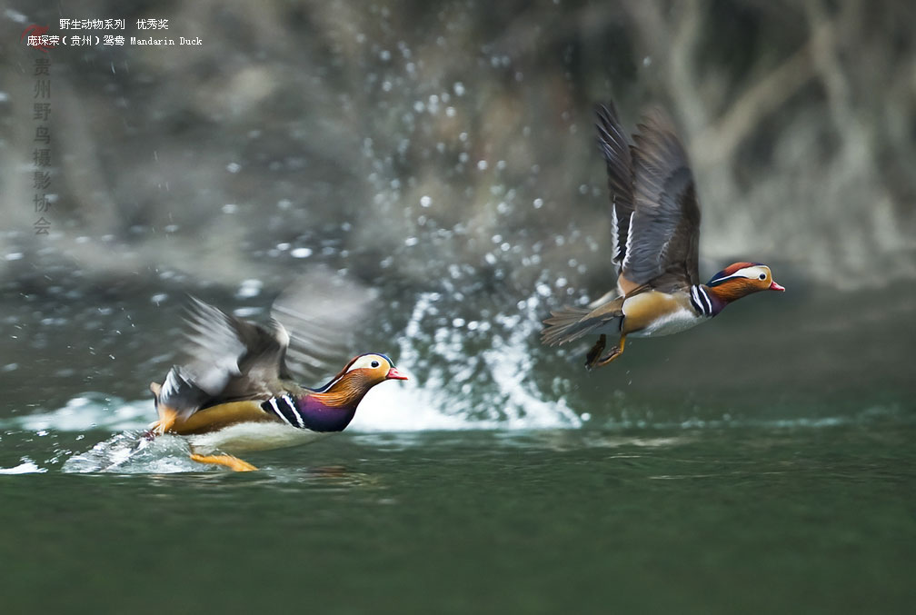 ʹ#8226йԭ̬Ӱ Ұϵ㽱