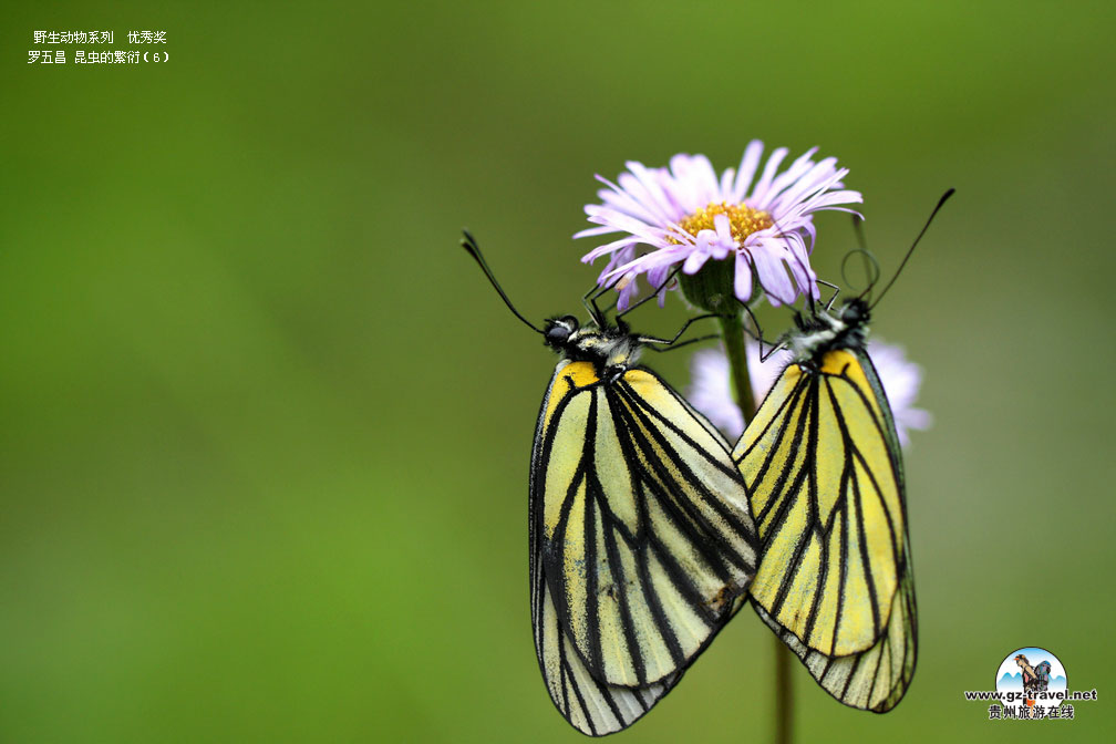 ʹ#8226йԭ̬Ӱ Ұϵ㽱