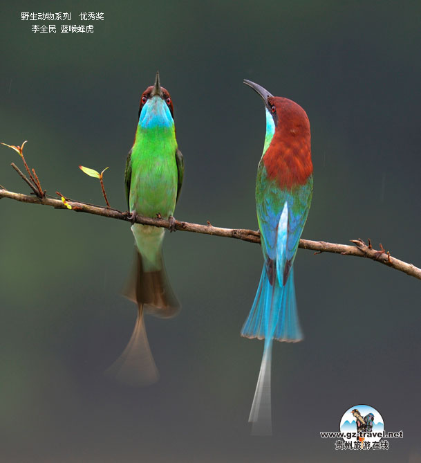 ʹ#8226йԭ̬Ӱ Ұϵ㽱