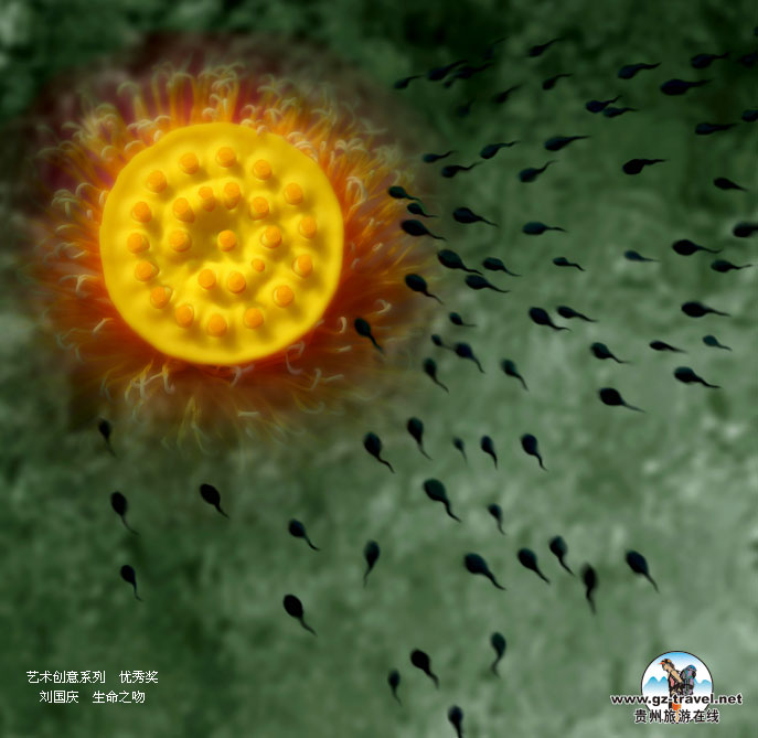 ʹ#8226йԭ̬Ӱ ϵлƷ