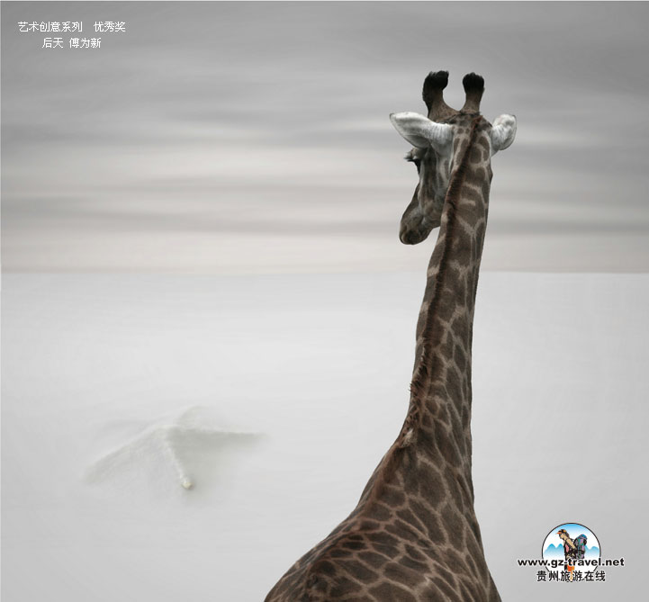 �������ʹ���#8226�й�ԭ��̬������Ӱ���� ��������ϵ�л���Ʒ