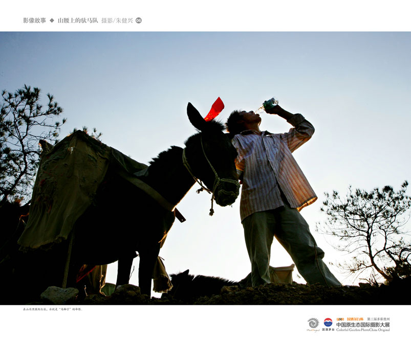 ʹݡйԭ̬Ӱ Ӱϵ Ƚ 콡ˡɽϵӡ