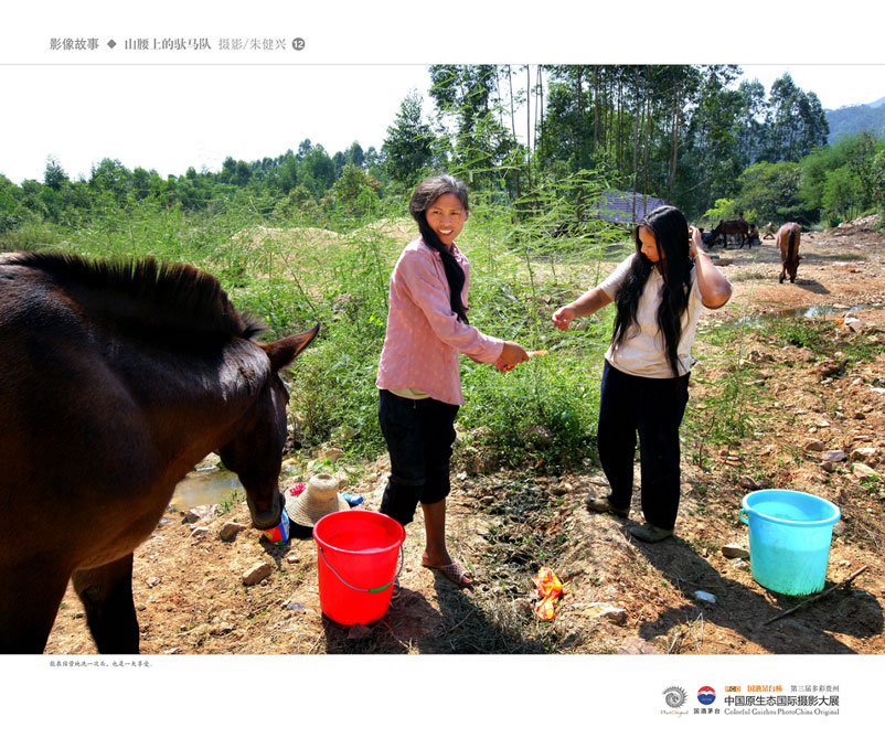 ʹݡйԭ̬Ӱ Ӱϵ Ƚ 콡ˡɽϵӡ