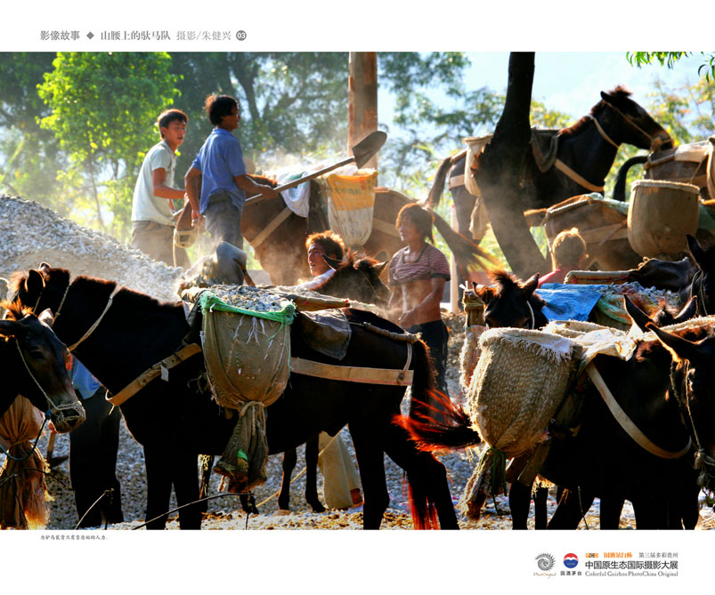 ʹݡйԭ̬Ӱ Ӱϵ Ƚ 콡ˡɽϵӡ