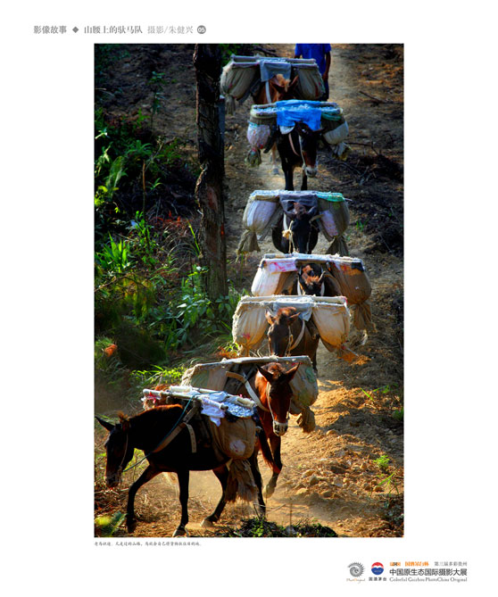 ʹݡйԭ̬Ӱ Ӱϵ Ƚ 콡ˡɽϵӡ