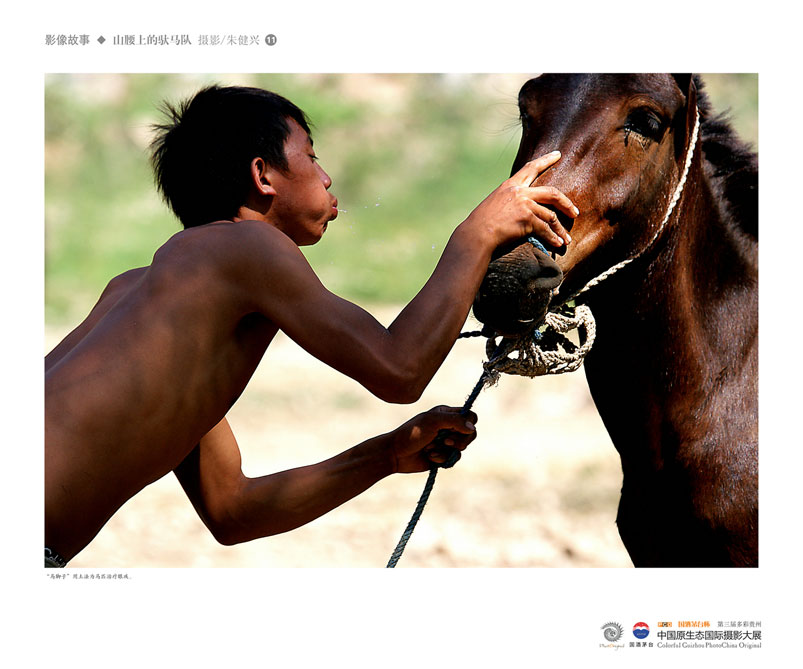 ʹݡйԭ̬Ӱ Ӱϵ Ƚ 콡ˡɽϵӡ