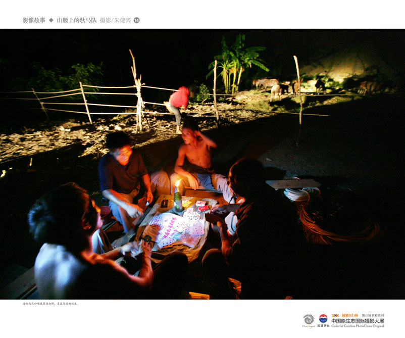 ʹݡйԭ̬Ӱ Ӱϵ Ƚ 콡ˡɽϵӡ