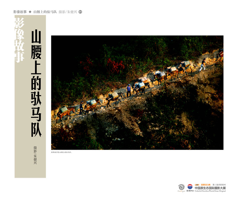 ʹݡйԭ̬Ӱ Ӱϵ Ƚ 콡ˡɽϵӡ