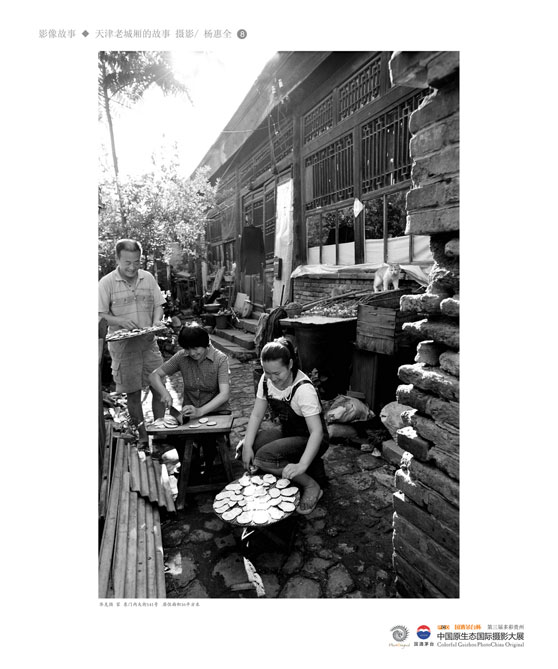 ʹݡйԭ̬Ӱ Ӱϵ Ƚ ȫ ϳǹ¡