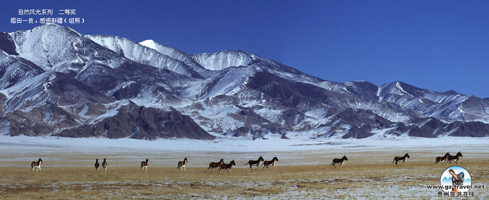 �������ʹ��ݡ��й�ԭ��̬������Ӱ���� ��Ȼ���ϵ�л���Ʒ��һ�� һ���������Ƚ���