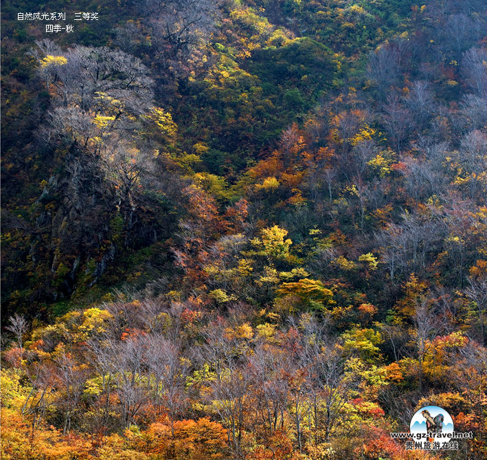 ʹݡйԭ̬Ӱ ȻϵлƷһ һȽ