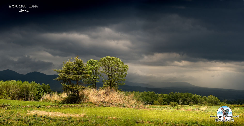 ʹݡйԭ̬Ӱ ȻϵлƷһ һȽ