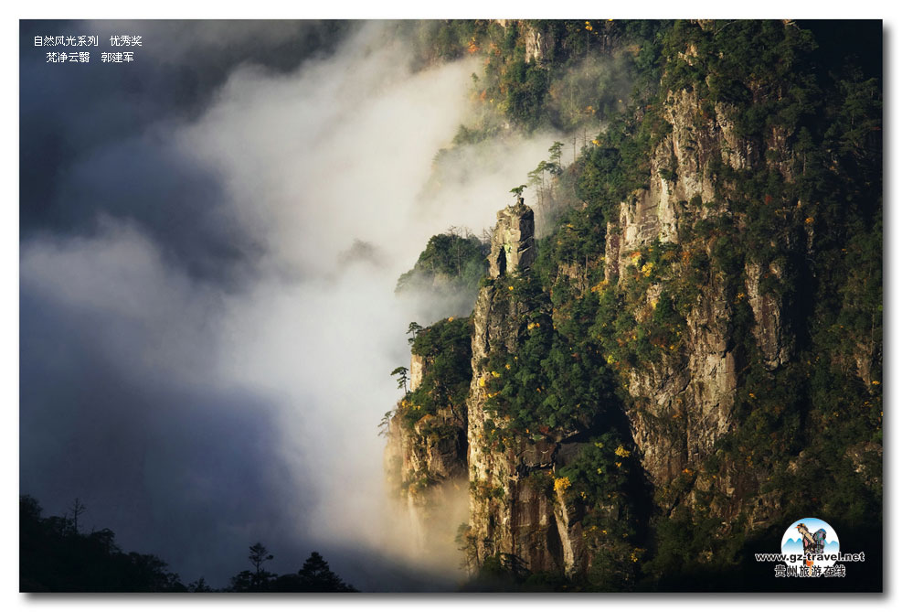 ʹݡйԭ̬Ӱ ȻϵлƷ 㽱