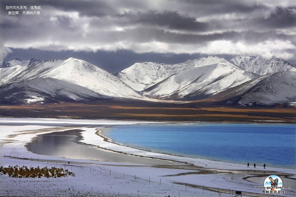 ʹݡйԭ̬Ӱ ȻϵлƷ 㽱