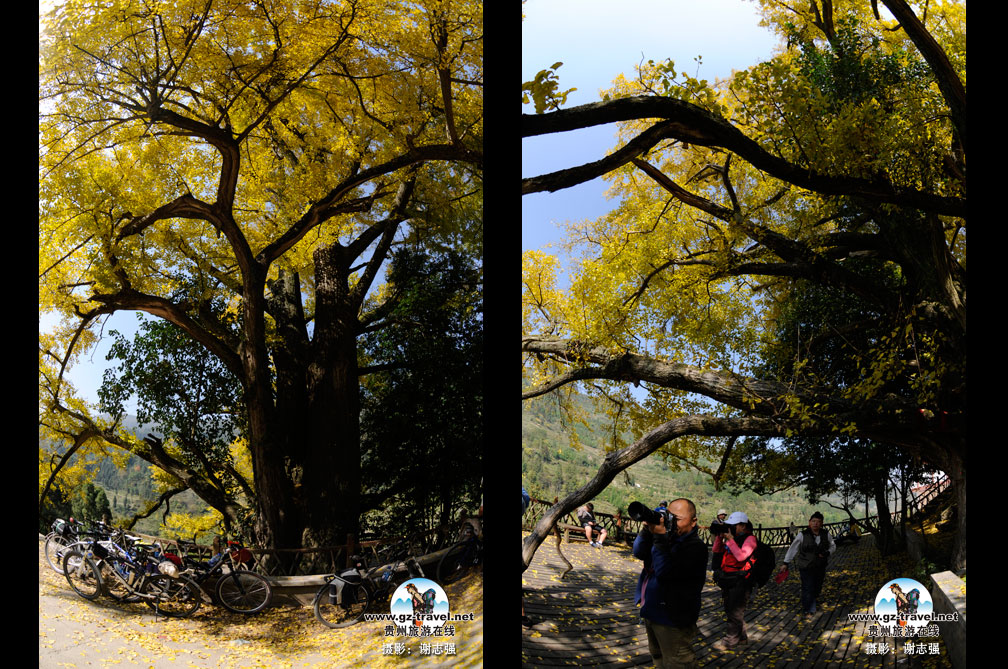 �������ڵ��������������������