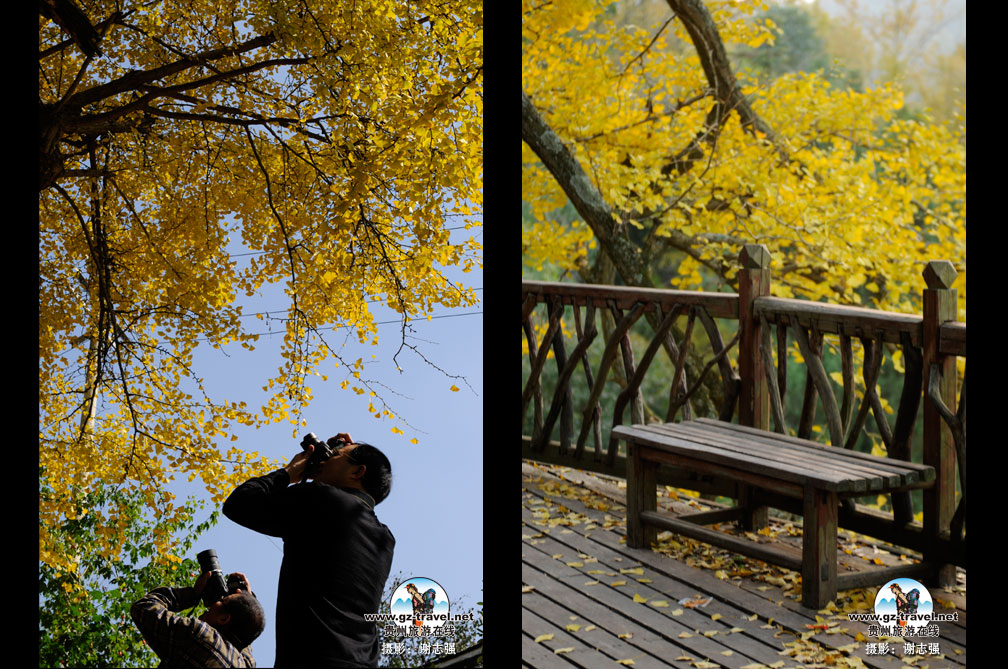 �������ڵ��������������������