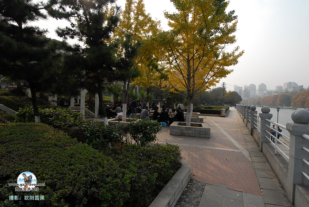 ���������ﾰ