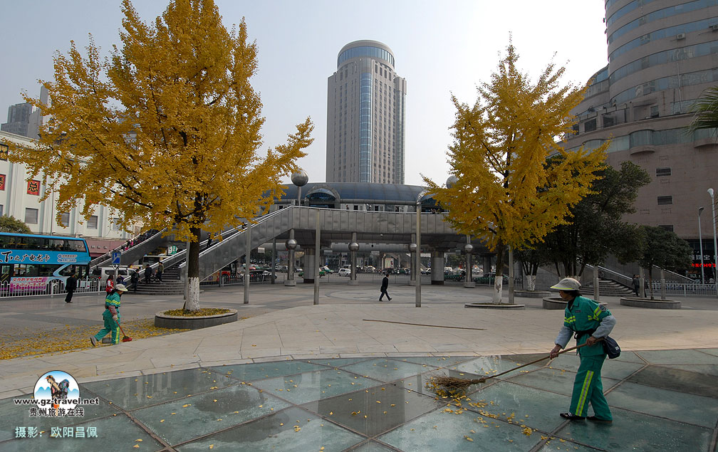 ���������ﾰ