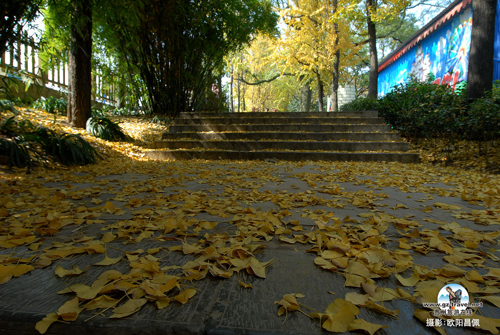 ��������ɫ