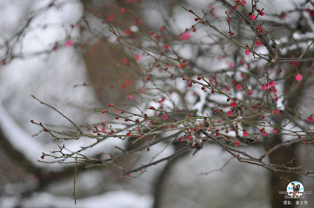 �Ͻ���԰��÷��