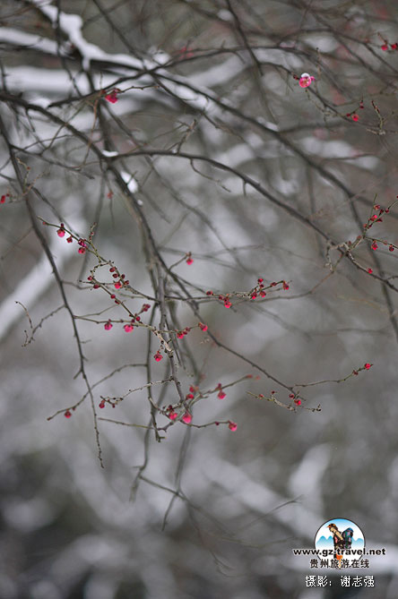 �Ͻ���԰��÷��