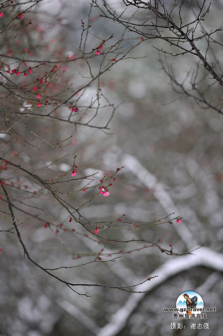 �Ͻ���԰��÷��