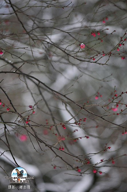 �Ͻ���԰��÷��