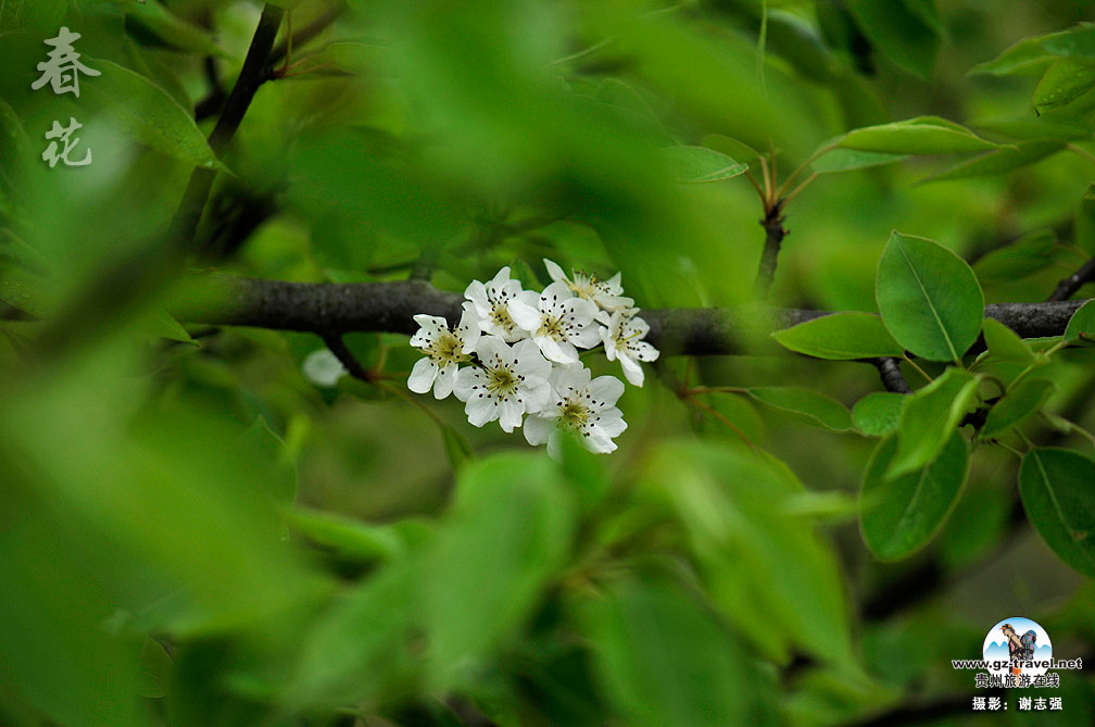 ����ũ���Ļ�