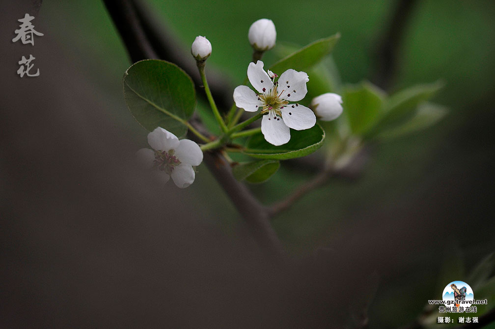 ����ũ���Ļ�