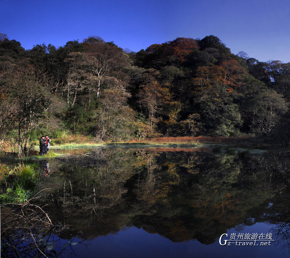 ̨������̶