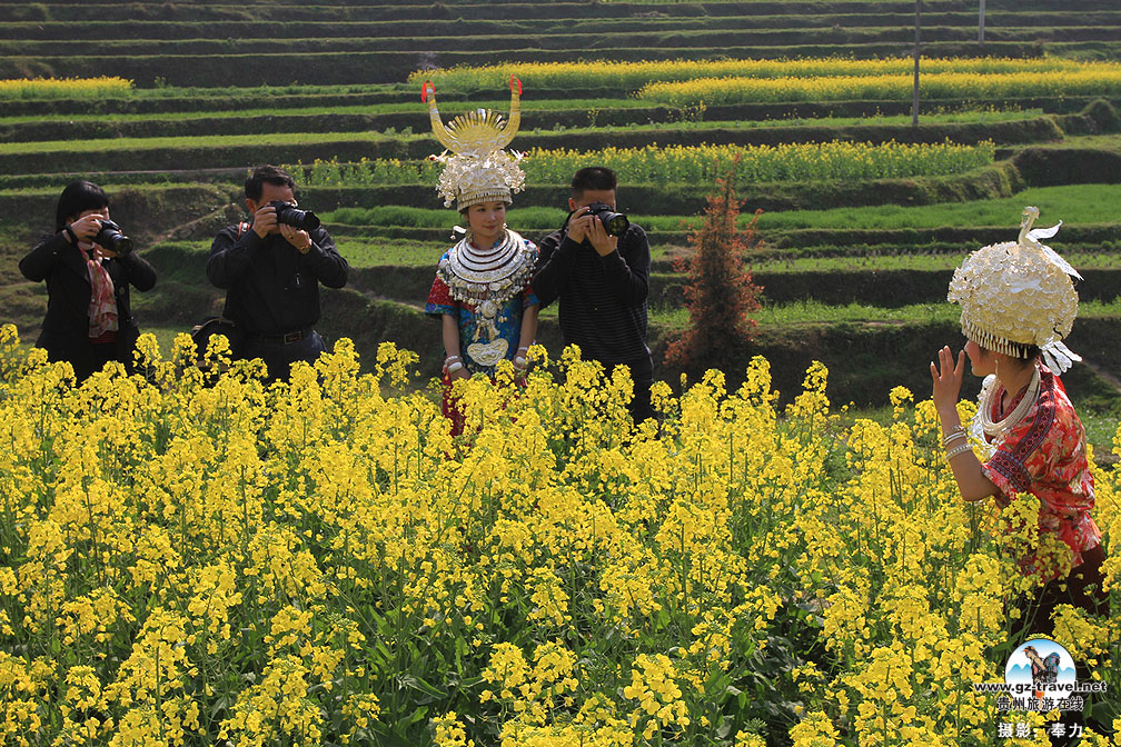 ������«�ϳ�