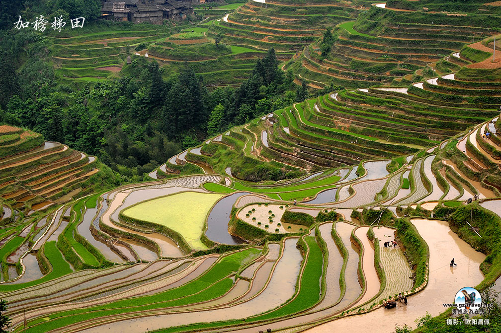 [����]�ӽ��Ӱ��������续