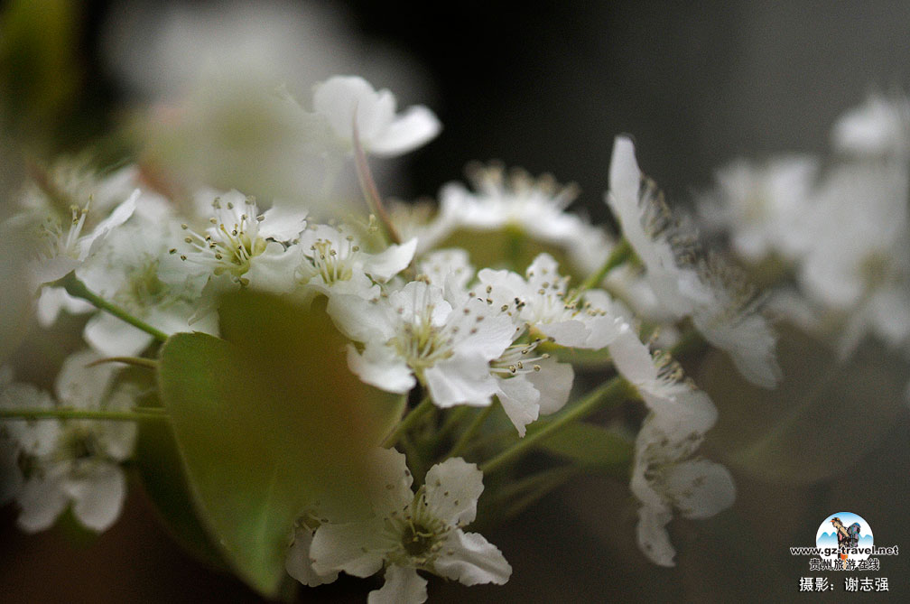 ����ũ���滨