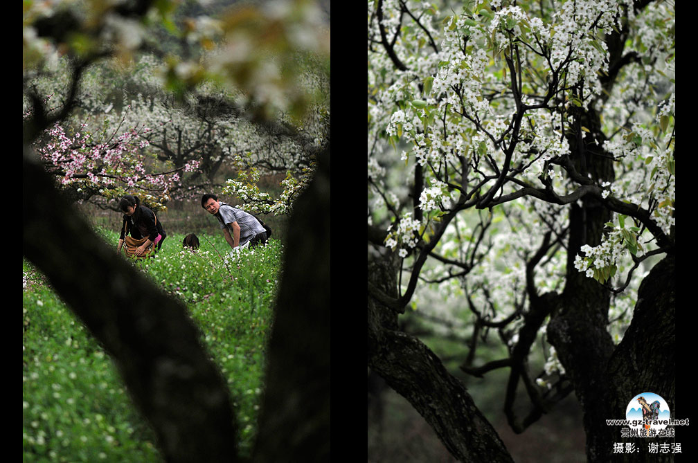 ����ũ���滨