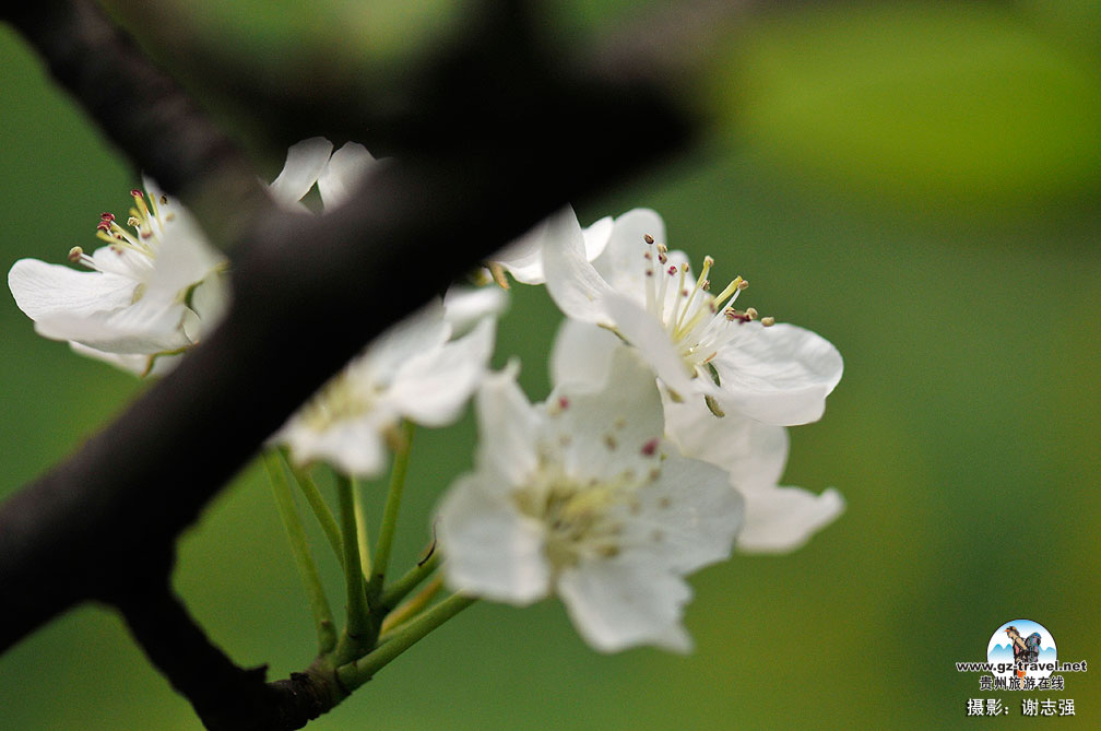 ����ũ���滨