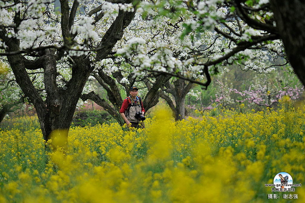 ����ũ���滨