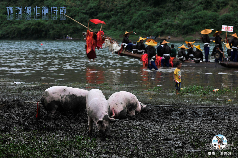 [����]ʩ����ľ���۽�