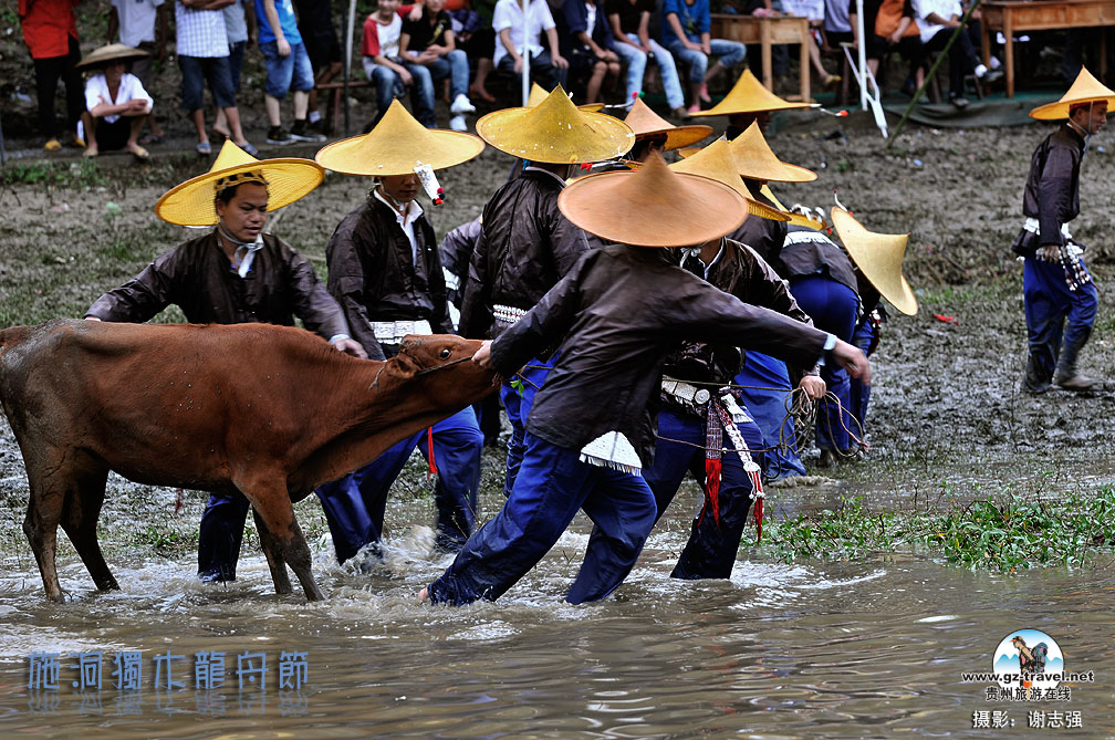 [����]ʩ����ľ���۽�