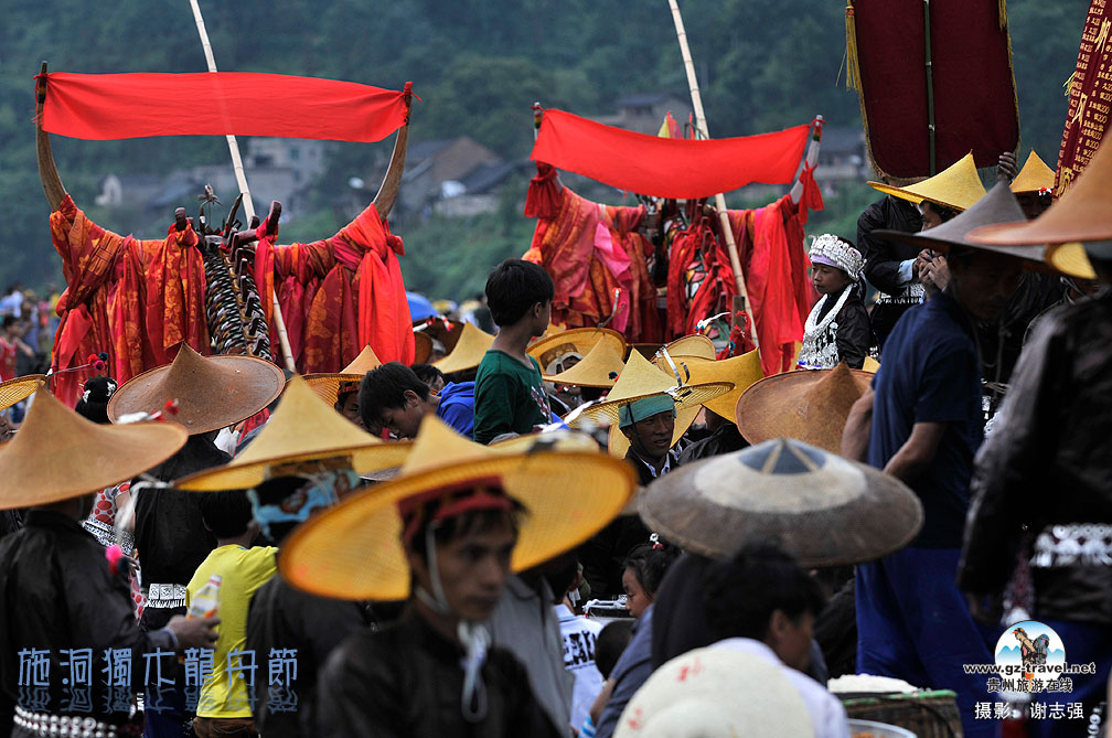 [����]ʩ����ľ���۽�