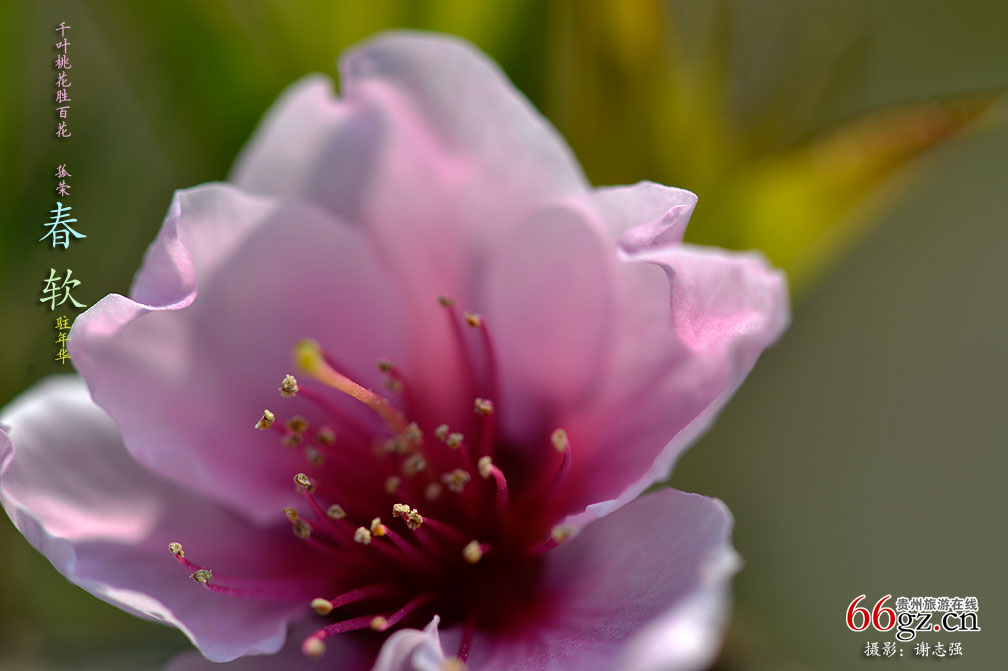 ����ũ�� �һ�