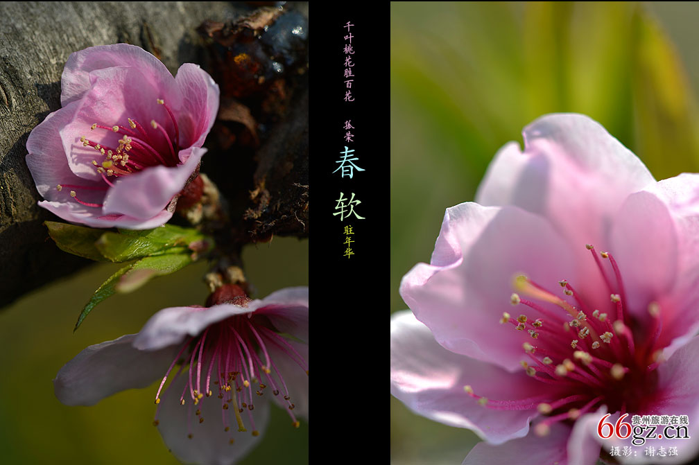 ����ũ�� �һ�