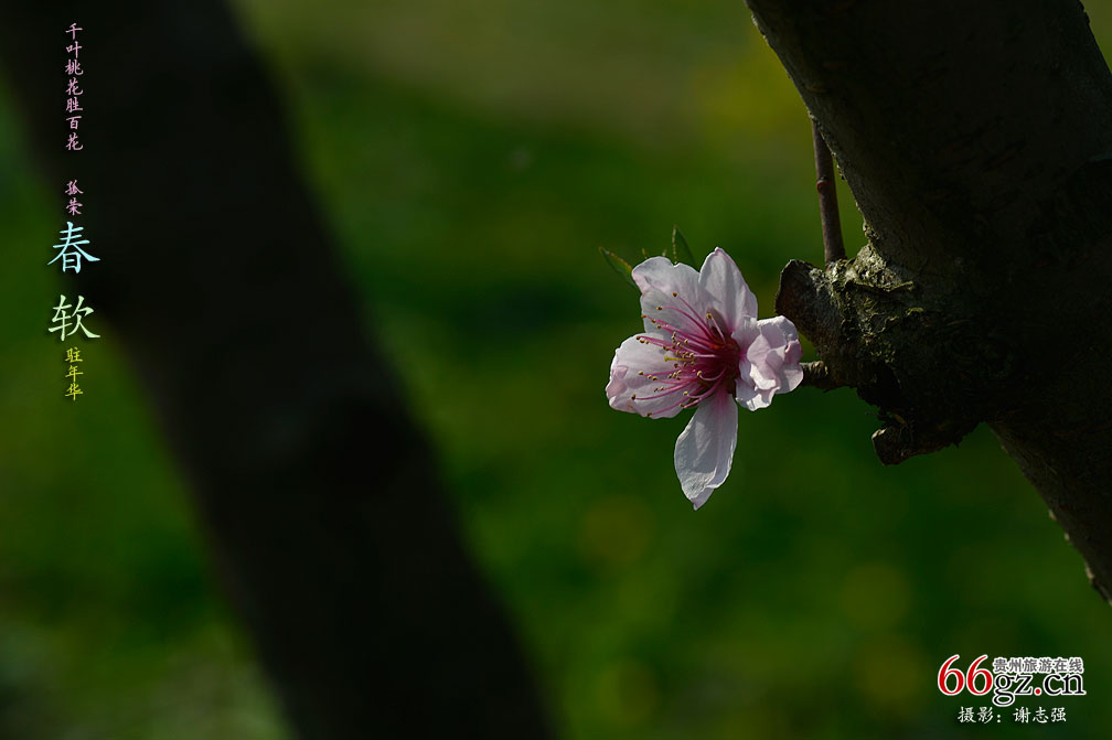 ����ũ�� �һ�