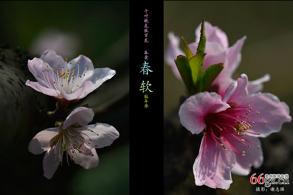 ����ũ�� �һ�