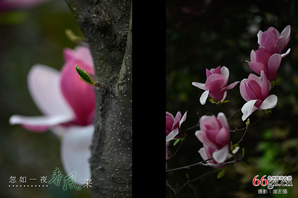 ����ũ���Ļ�