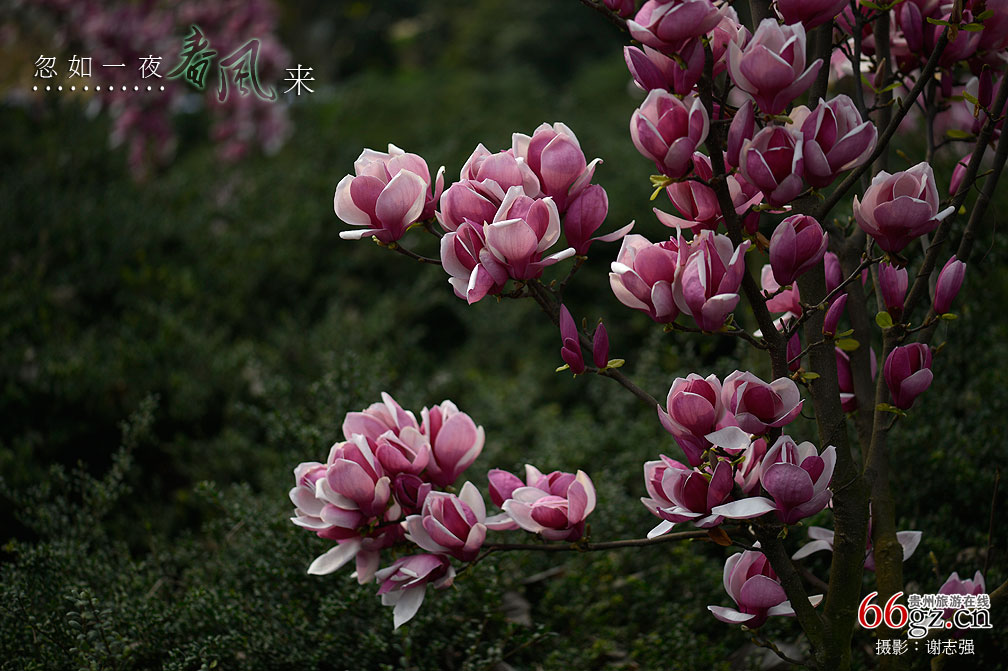 ����ũ���Ļ�