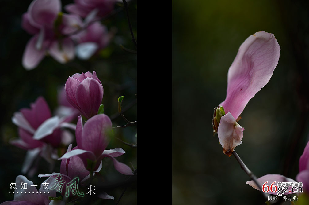 ����ũ���Ļ�