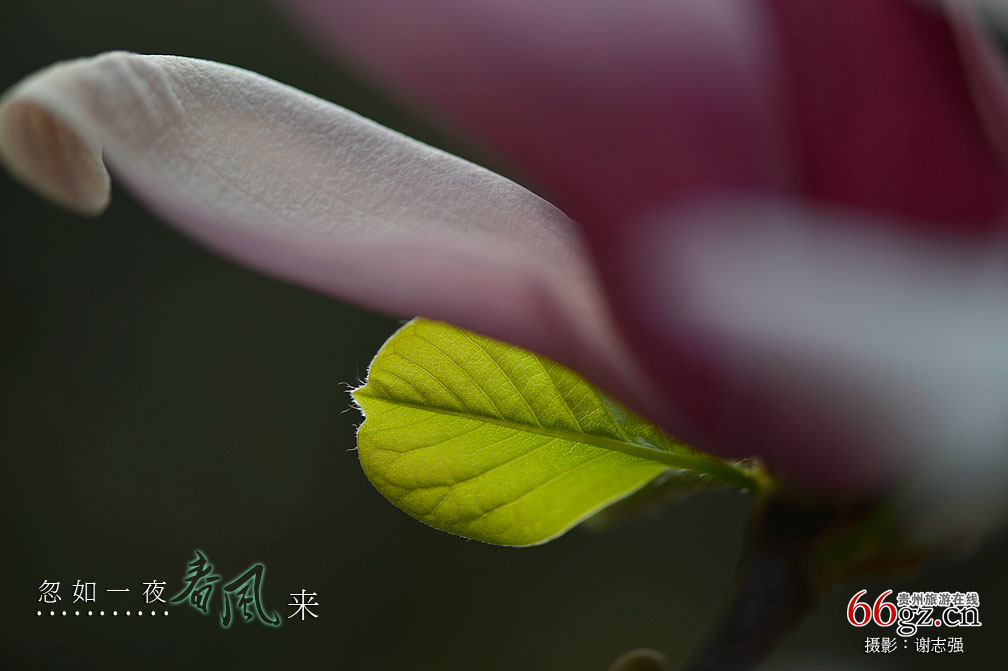 ����ũ���Ļ�