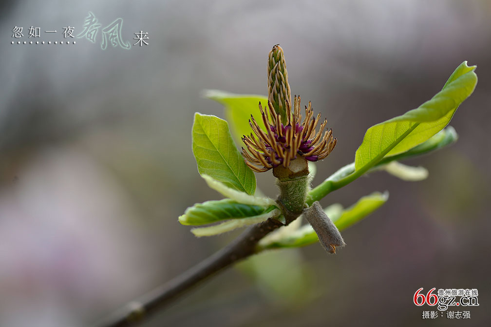 ����ũ���Ļ�